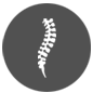 icon-backspinal